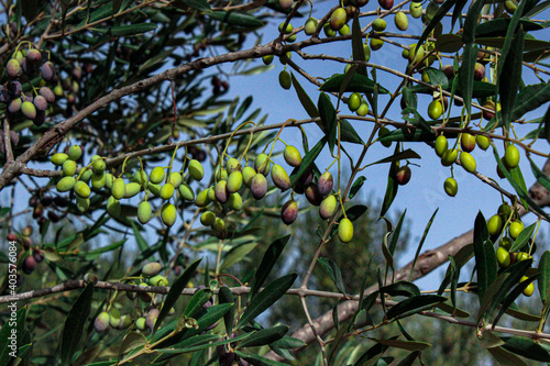 green and yellow