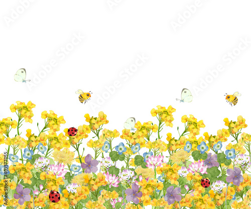 春の草花と虫の風景イラスト Illustration Stock Adobe Stock