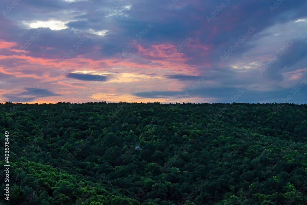 View of the hillside in the thickets of the forest at dusk against the backdrop of the sunset.