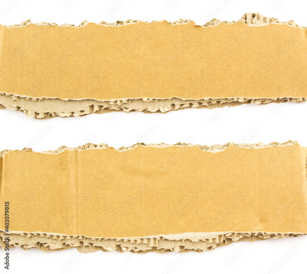 Torn brown corrugated cardboard strips on white background. Ripped pieces of cardboard with copy space for text.