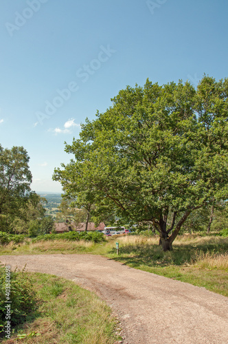 Summertime trees around the Malvern hills of England.