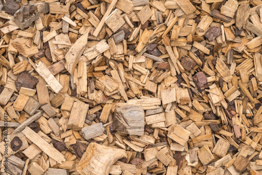 Background from timber sawdust chips Background from timber sawdust chips