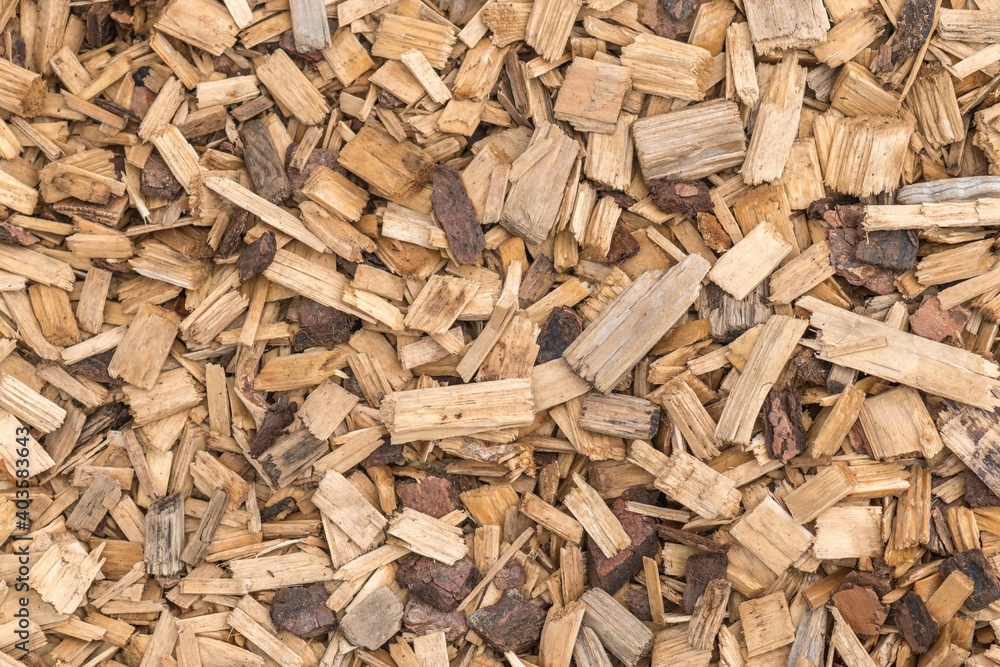 Background from timber sawdust chips Background from timber sawdust chips