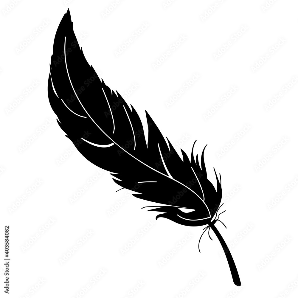 Bird's feather close-up. Black silhouette on a white background ...