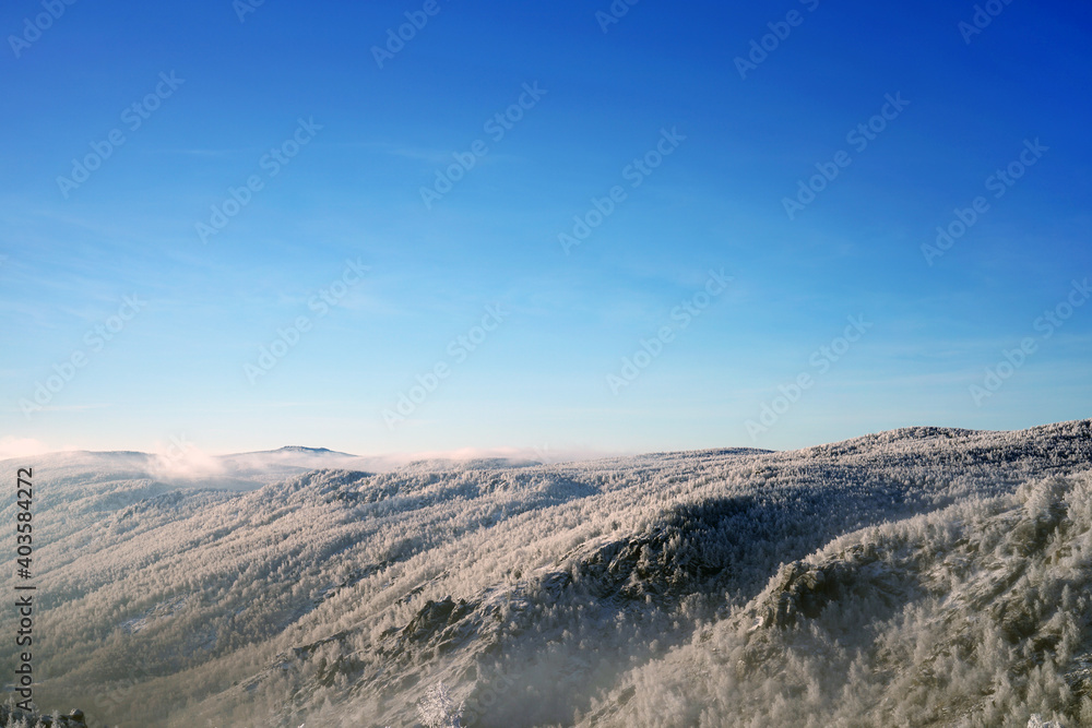 Mountainous area covered with dense forest on a frosty winter day.
