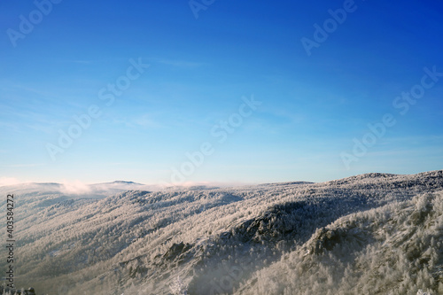 Mountainous area covered with dense forest on a frosty winter day.