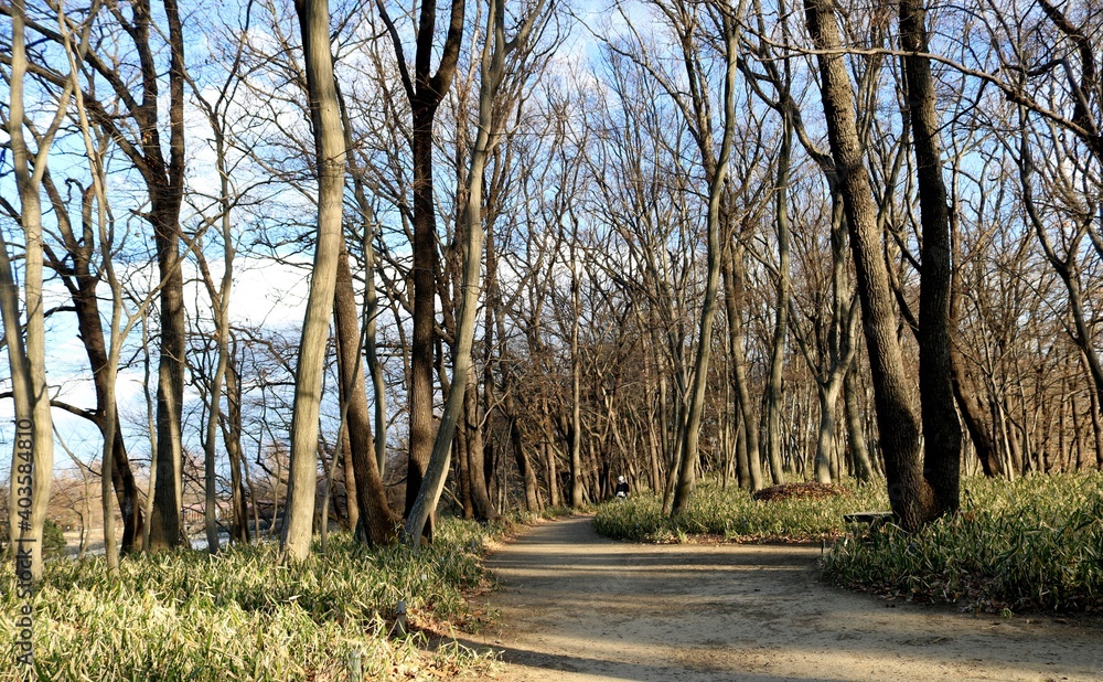 冬の散策路　風景