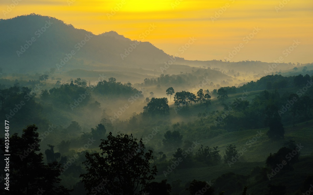 Beautiful landscape in the mountains at sunrise, View of foggy hills covered by forest : Thailand