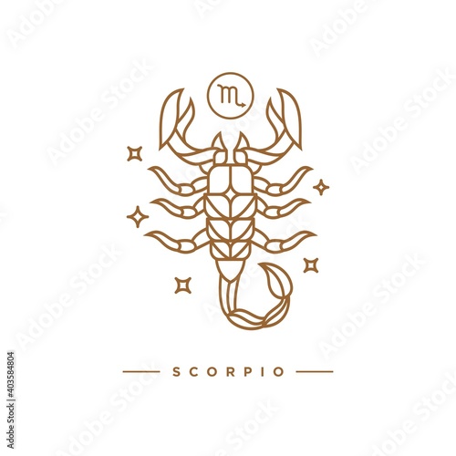 Zodiac scorpio horoscope sign line art silhouette design vector illustration. Creative decorative elegant linear astrology zodiac scorpio emblem template for logo or poster decoration. photo