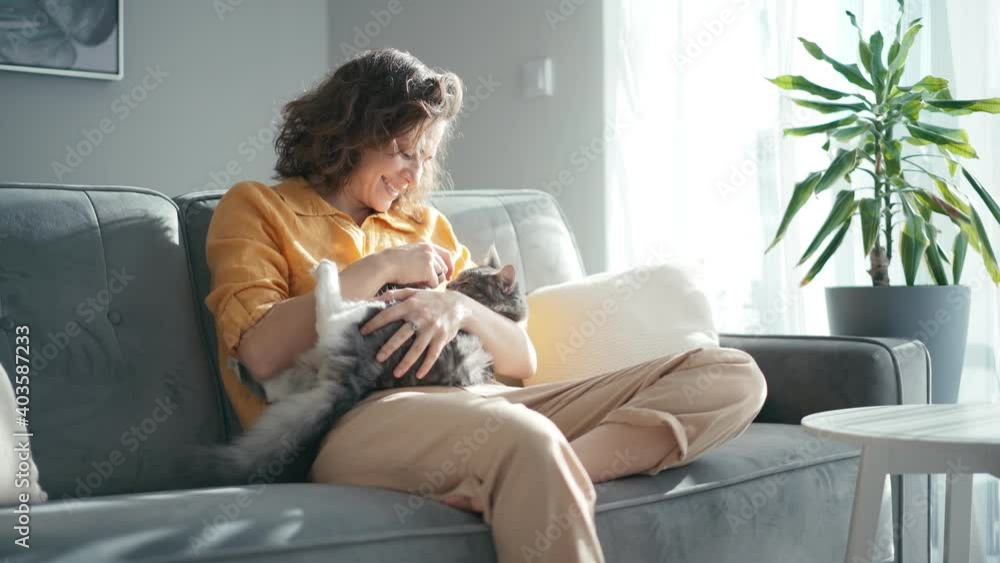 A young adult woman stroking a grey fluffy cat while sitting on the couch in the living room. A young adult woman stroking a grey fluffy cat while sitting on the couch in the living room.