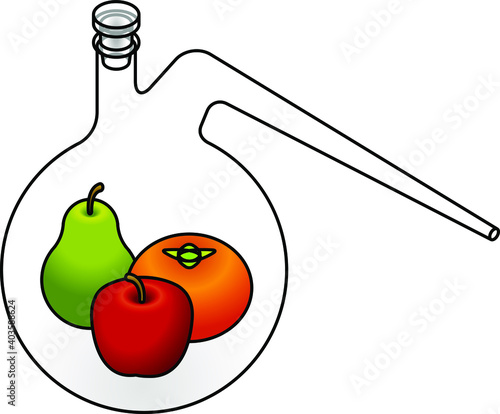 Food science concept: a green pear, red apple and orange persimmon in a retort flask.