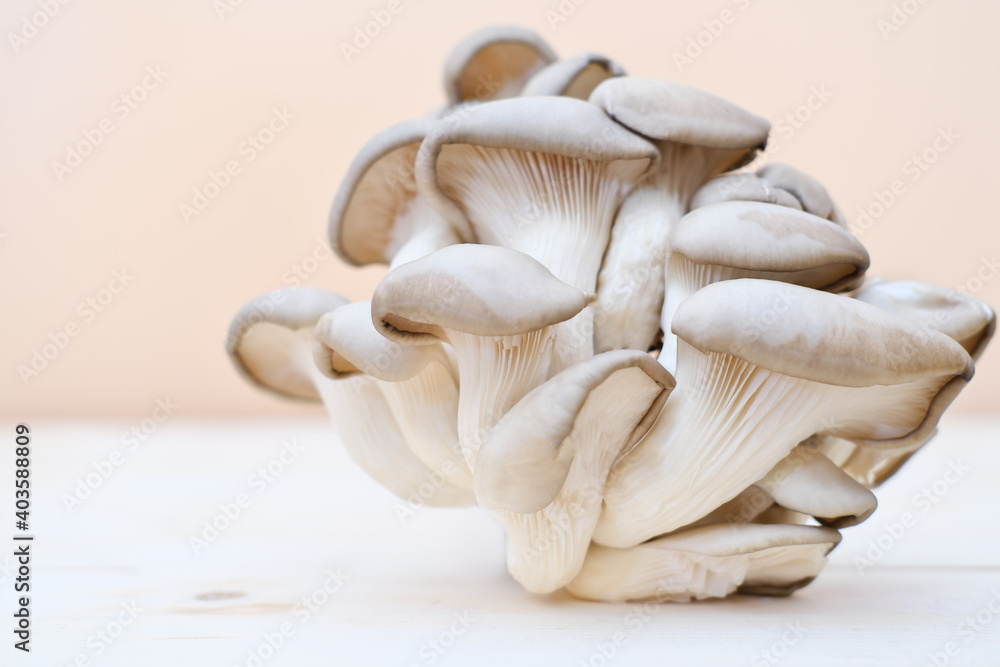 Bunch of brown fresh raw oyster mushrooms on wooden table. concept of veggie and raw food. selective focus Bunch of brown fresh raw oyster mushrooms on wooden table. concept of veggie and raw food. selective focus