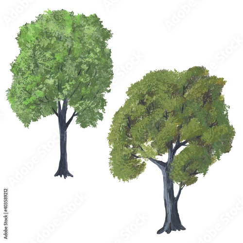 Acrylic illustration, green realistic tree, isolate on a white background
