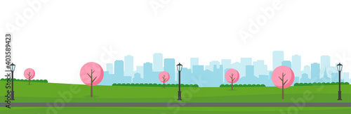 Public park landscape vector illustration. Spring season. Cherry blossoms.