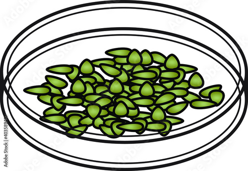 A petri dish of seeds.