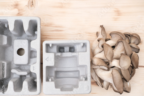 mushroom packaging solution, earth-friendly, home compostable packaging biodegradable and renewable material fully natural composite environmentally friendly alternative to plastic. up-cycling.