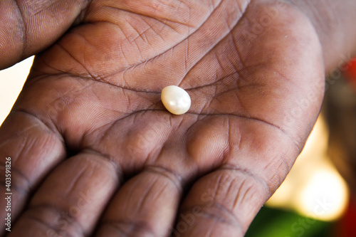 Pearl hunting. White Pearl on black mans hand