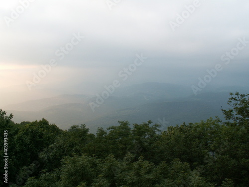 view of the forest valley in the fog