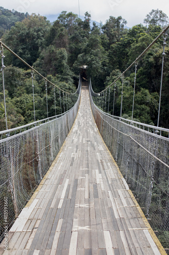 Fototapeta Naklejka Na Ścianę i Meble -  suspension bridge in the mountains