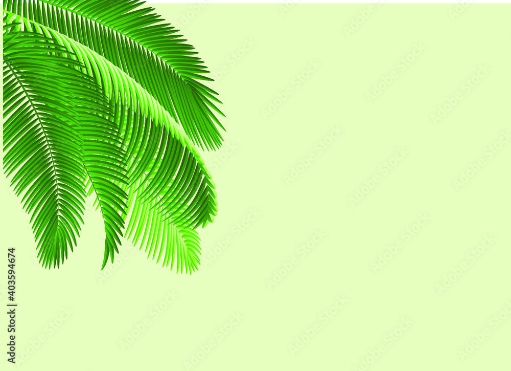 Green coconut leaves for background.Vector.Illustration.