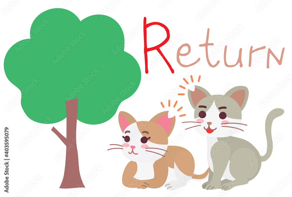地域猫TNRのためのReturn 地域猫TNRのためのReturn
