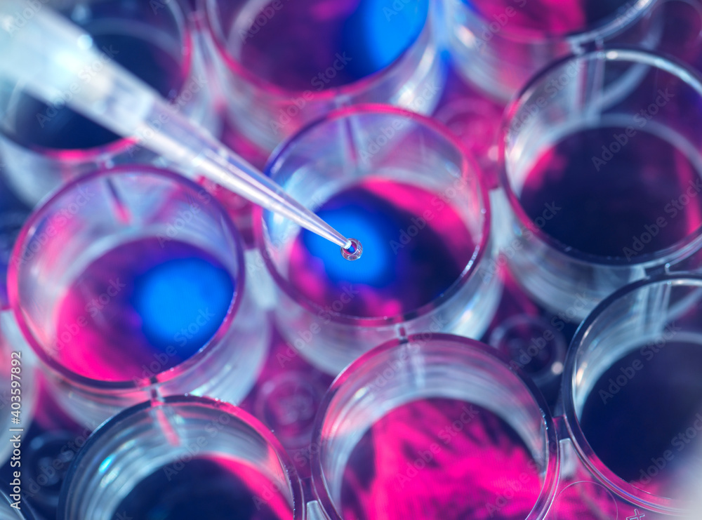 Cell research, Scientist pipetting samples into a multi well plate during an experiment in the lab with a screen image of cells in the background Cell research, Scientist pipetting samples into a multi well plate during an experiment in the lab with a screen image of cells in the background