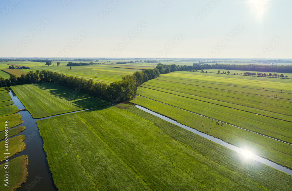 The typical dutch polder landscape at the end of summer, Langerak, Zuid- Holland, Netherlands Stock Photo | Adobe Stock