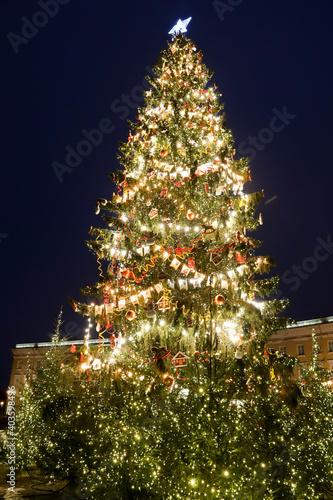 beautiful tall bright christmas tree in the night in lights with star on the top
