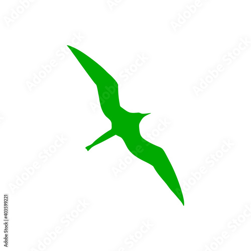 Fregattvogel und Hintergrund