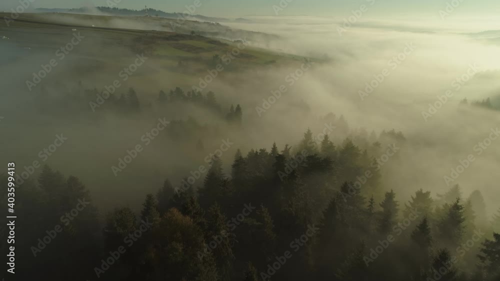 Dramatic moody scenery above hills filled with pine trees covered in dreamy mist Dramatic moody scenery above hills filled with pine trees covered in dreamy mist