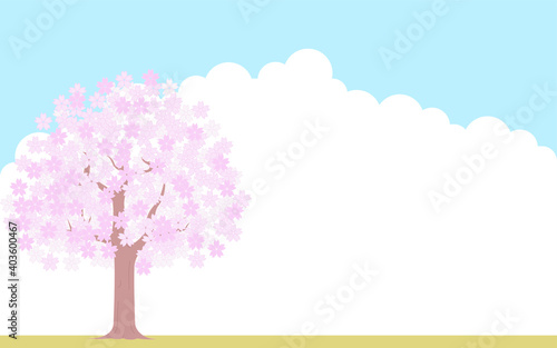 満開の桜の木、青空と雲の背景、イラスト素材 © TKM