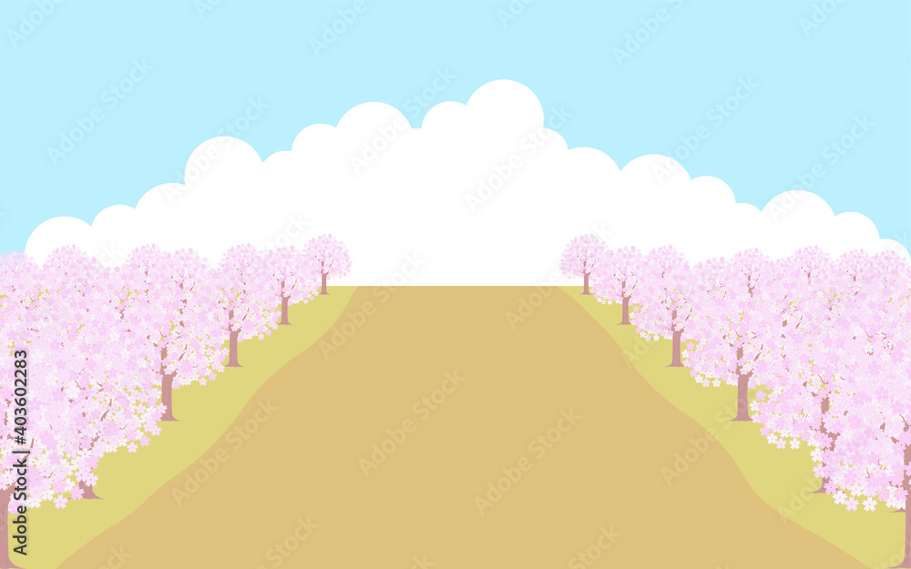 左右に広がる満開の桜並木、青空と雲の背景、イラスト素材 左右に広がる満開の桜並木、青空と雲の背景、イラスト素材