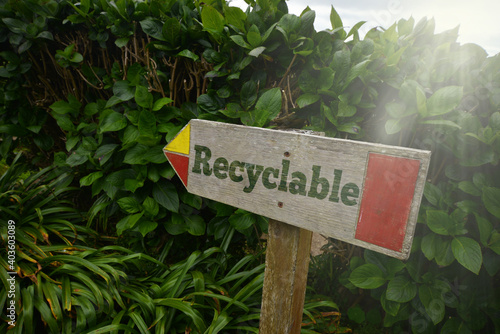vintage old wooden signboard with text recyclable near the green plants.