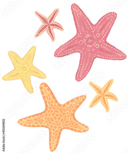 Starfish by the sea. Luxury illustration. Vacation, holiday. Banner design. Outdoor landscape. Holiday background. Sea ocean.