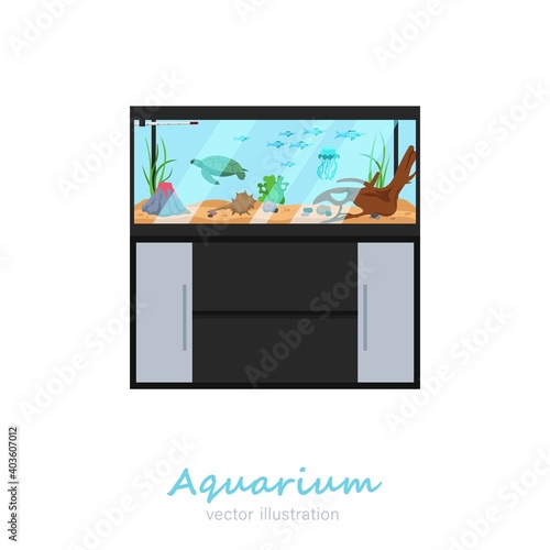 Beautiful rectangular fish tank image