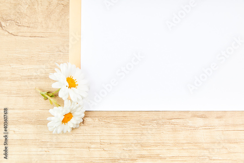 White daisies on a white sheet with copy space for text