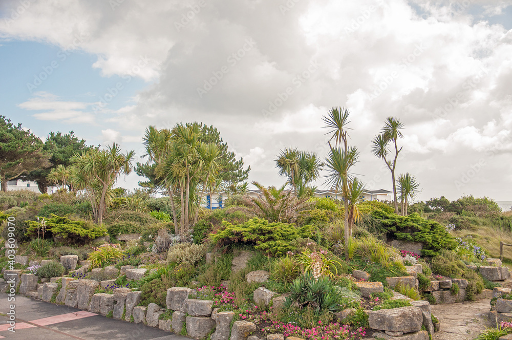 Poole harbour seaside shrubbery