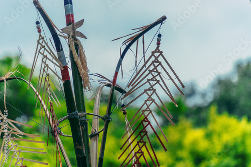 Tree mentioned (Vietnamese name is Cay Neu) - symbol of ethnic minority spiritual Kontum, Vietnam. photo