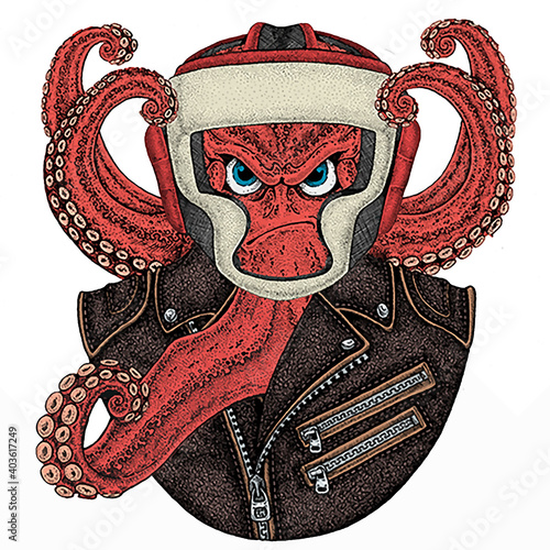 Octopus vector portrait. Sea marine creature, beast. Animal wearing boxer helmet.