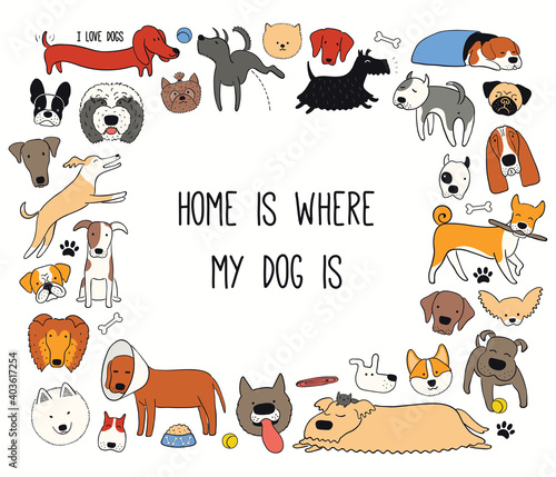 Cute funny different dog, puppy frame, quote Home is where my dog is. Hand drawn color vector illustration, isolated on white. Line art. Design concept for trendy pet poster, t-shirt, fashion print.