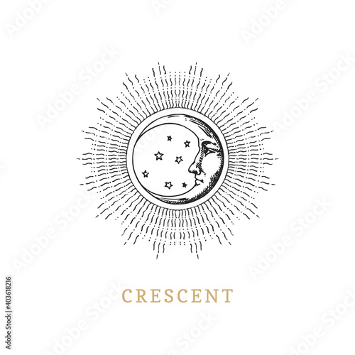 Crescent moon, vector image in engraving style.