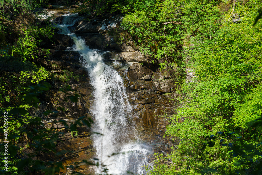 A waterfall, the Falls of moness, Birks of Aberfeldy, coming out from amongst the trees at Moness Dun Wood in the Scottish Highlands, UK. A waterfall, the Falls of moness, Birks of Aberfeldy, coming out from amongst the trees at Moness Dun Wood in the Scottish Highlands, UK.