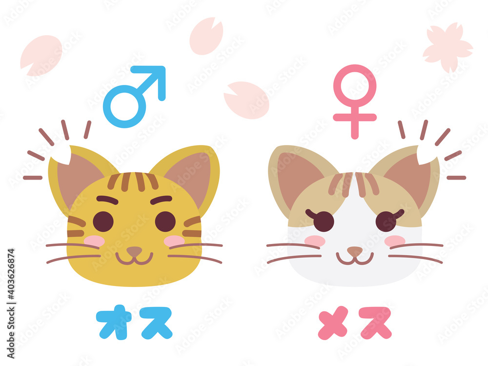 耳カットした地域猫のペアのイラスト 耳カットした地域猫のペアのイラスト