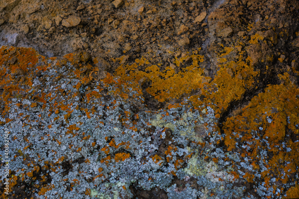 close up texture of colorful stone