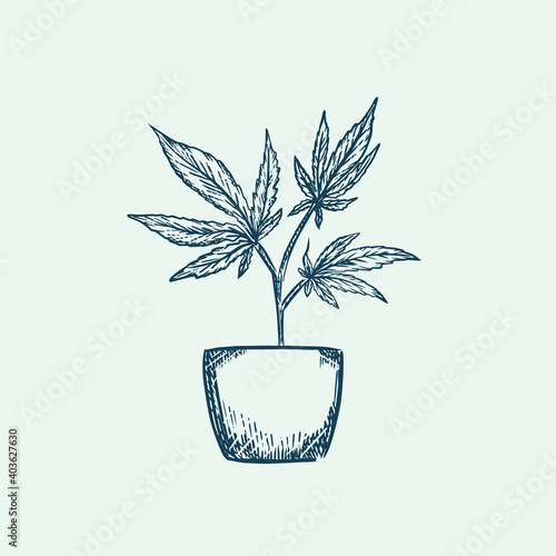 Hemp marijuana leaves symbol engraving sketch style