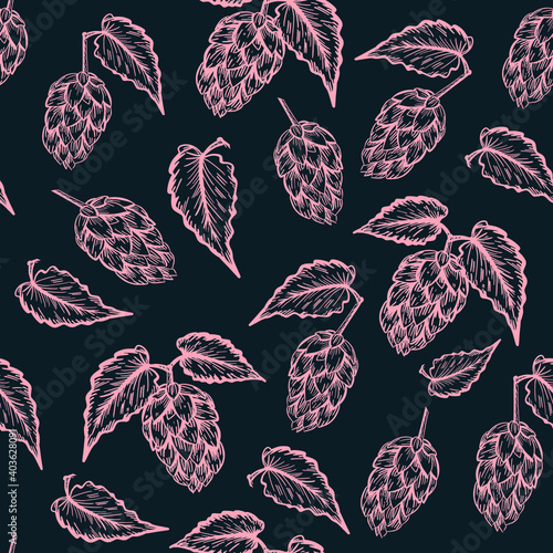 Hop cones and leaves. Vintage engraving style isolated on white. vector illustration.
