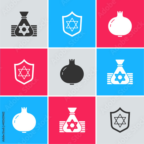 Set Jewish money bag, Shield with Star of David and Pomegranate icon. Vector.