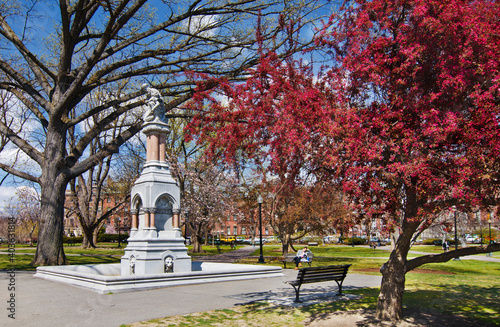 562-97 Spring Color and Monument, Boston Commons photo