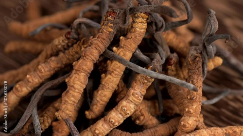 some chinese caterpillar fungus on the table