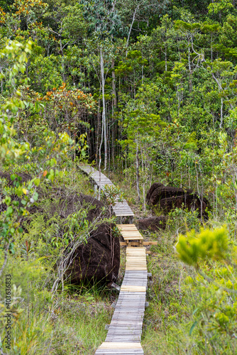 The Tajor trail inside the Baku National Park is a two and half hour walk, crosses different vegetation zones and leads to the bay and beach of Teluk Tajor in the northern part of the peninsula